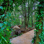 Lush Gardens of Andante Lodge in Pretoria