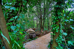 Lush Gardens of Andante Lodge in Pretoria