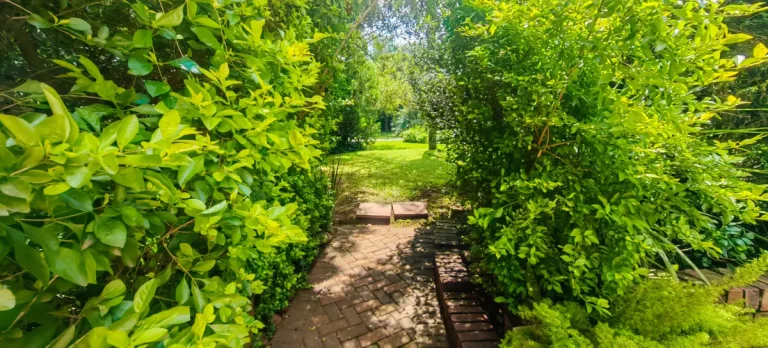 Garden Suite Life at Andante Lodge in Pretoria