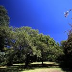 School Tours to Pretoria East