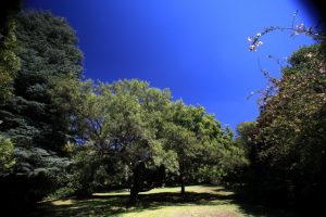 School Tours to Pretoria East