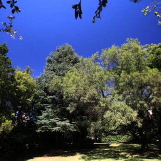School Group Accommodation at Andante