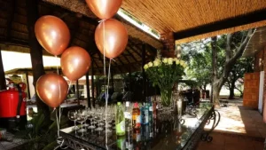 Party at Andante Lodge in Pretoria East