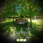 Waterkloof students love it here