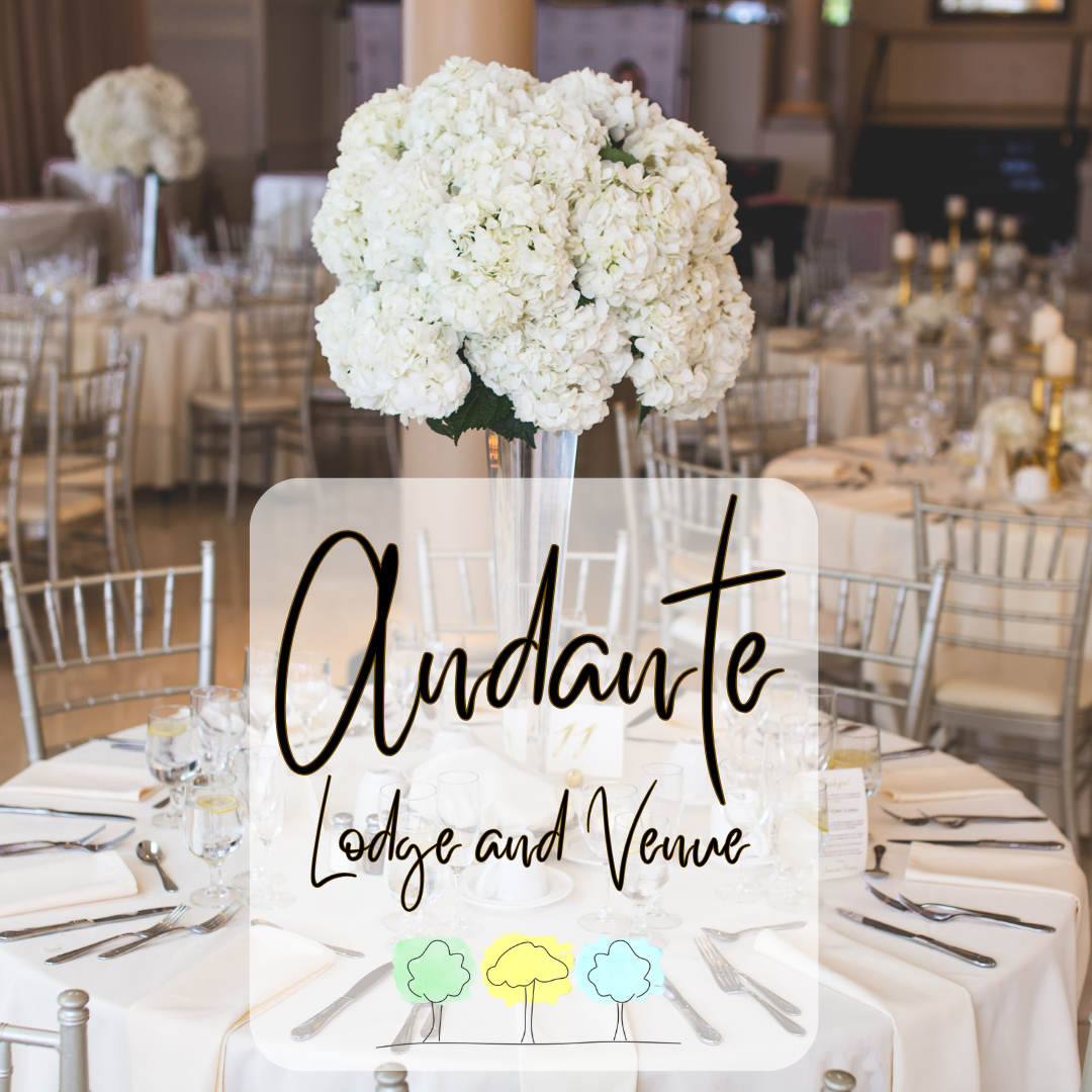 Discover Andante Boutique Lodge & Venue: A Hidden Gem in Pretoria East