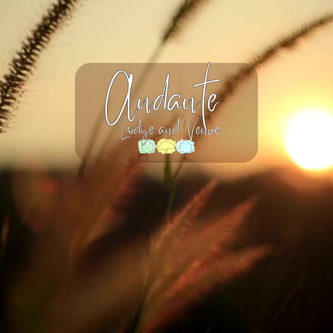 Honouring Life with Presence & Peace at Andante Lodge 🌿